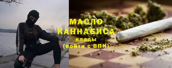 гидра Бородино