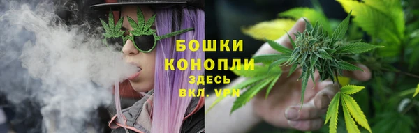 гидра Бородино