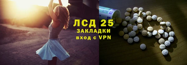 гидра Бородино