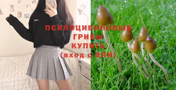 трава Верхнеуральск