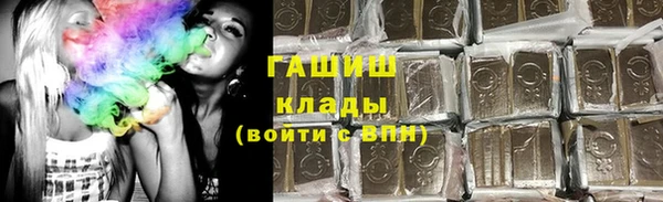 гидра Бородино